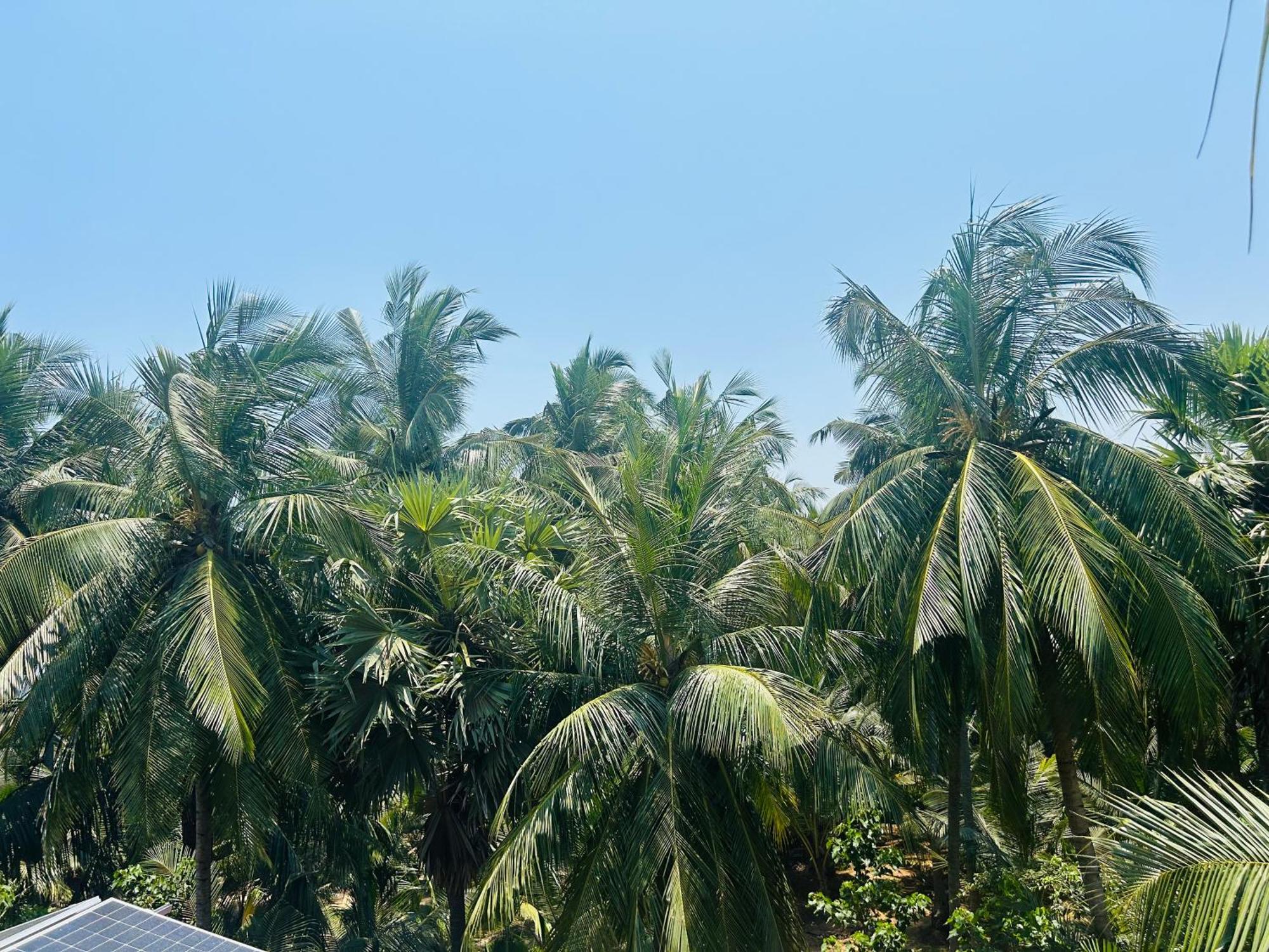 Pearl Bungalow Trincomalee Bagian luar foto